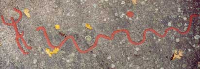 dieren