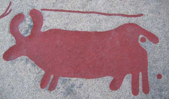 dieren